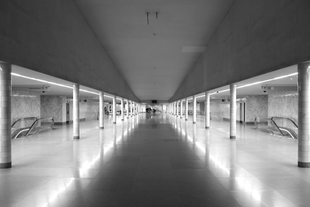 rui-alves-2wMpkzTtgtY-unsplash rui-alves-2wMpkzTtgtY-unsplash
